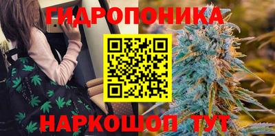 мяу мяу мука Аша