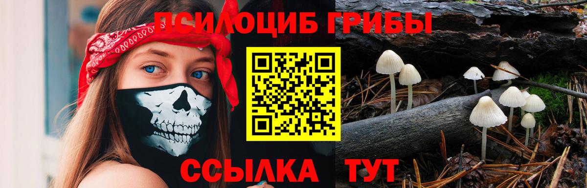 Вольск  Галлюциногенные грибы Magic Shrooms  сколько стоит  Вход с VPN 